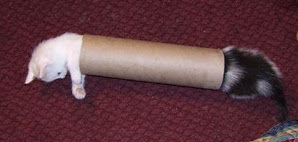 Extending Swift with middleware: example with ClamAV